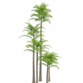 Modelo 3d de palmeiras da Austrália
