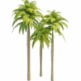 South America Palm Trees 3d model