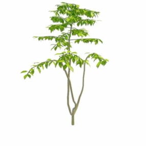 3д модель патио-деревьев
