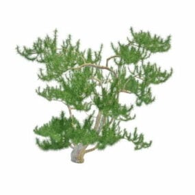 Model 3D Gunung Pine Pine