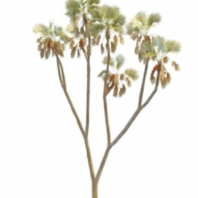 Model 3d Pokok Palma Doum