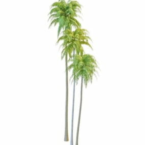 उष्णकटिबंधीय नारियल के पेड़ 3डी मॉडल