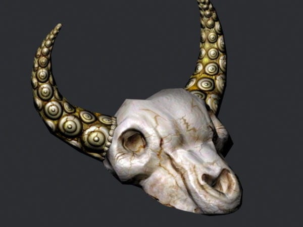 Bull Skull Skeleton