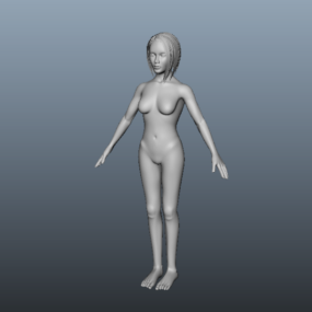 Volwassen vrouwelijk lichaam 3D-model