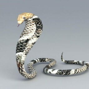 Чорна королівська змія Кобра 3d модель