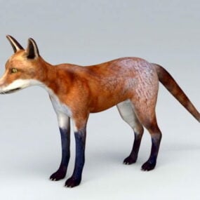 Cartoon Fox Animal Lowpoly 3d model