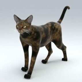 Tierisches 3D-Modell der Maine-Coon-Katze