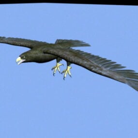 Golden Eagle Wild Animal 3d model