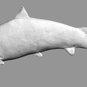 Vodní 3D model lososových ryb