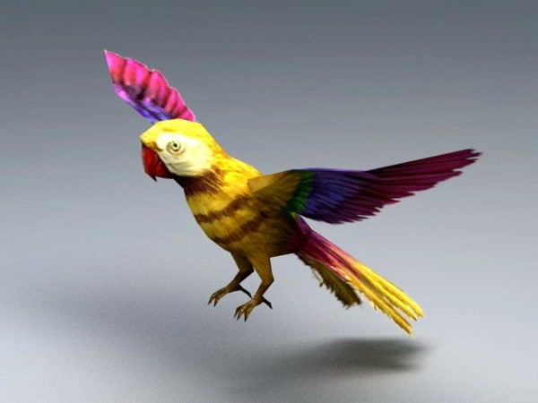 Vilda djur gul papegoja
