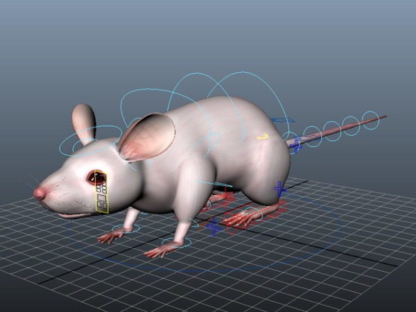 تلاعب الفئران الكرتون