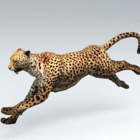Modelo 3d animado de leopardo africano.