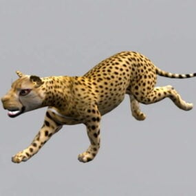 Modello 3d animato di ghepardo animale