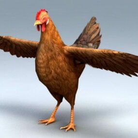 Modello 3d di pollo femminile