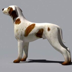 Modello 3d del cane Alano Boxer