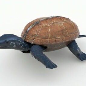 애니메이션 거북이 동물 3d 모델