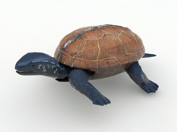 Geanimeerde schildpad dier