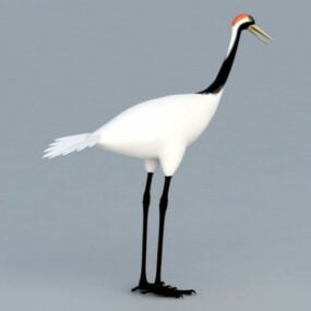 Asian Crane Bird 3d-malli