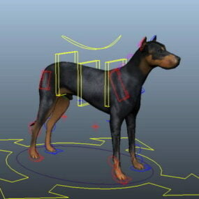 كلب دوبرمان Rigged 3d نموذج
