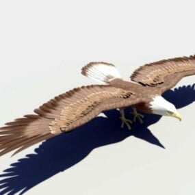 动物白头鹰 Rigged 3D模型