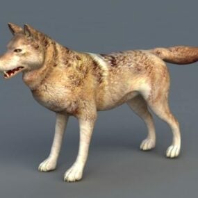Realistický 3D model arabského vlka