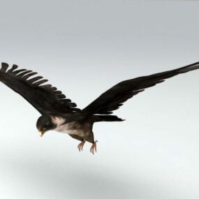Realistic Brown Hawk Animal 3d model