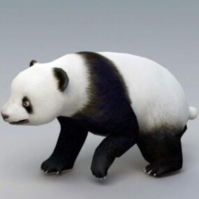 Animoitu Panda Bear Rig 3D-malli