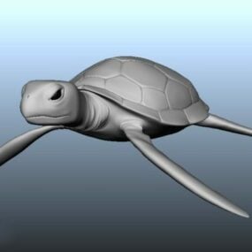 Lowpoly Meeresschildkröten-3D-Modell