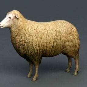 Modello 3d realistico di animali di pecora femminile