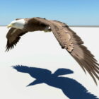 Adler fliegen animiert Rigged