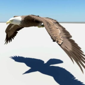 Águila volando animado Rigged modelo 3d