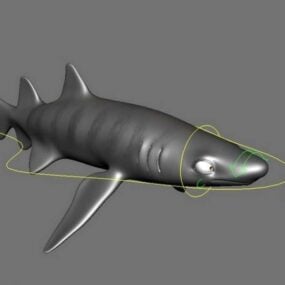 Tiger Shark plavání Rigged 3D model