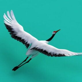 Animacja latania zwierząt żurawia Model 3D
