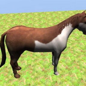 Vahşi pinto atı Rigged 3d modeli