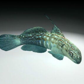 Model 3d Laut Ikan Bullet Goby