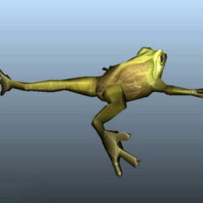 Modello 3d della rana selvatica