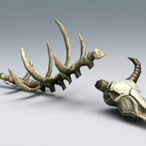 Modelo 3d de ossos de animais antigos