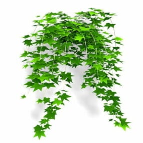 Model 3d Kembang Ivy Leaf Vine