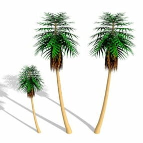 Palmiers modèle 3D
