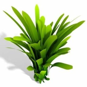 Dracaena Fragrans Plant דגם תלת מימד