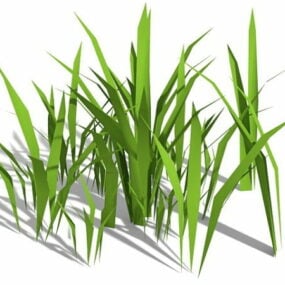 Model 3D mocnej trawy bambusowej