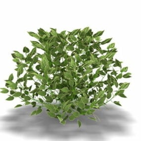 Mô hình cây chanh 3d