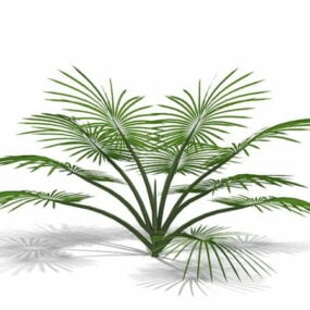 Modelo 3d de palmeira decorativa