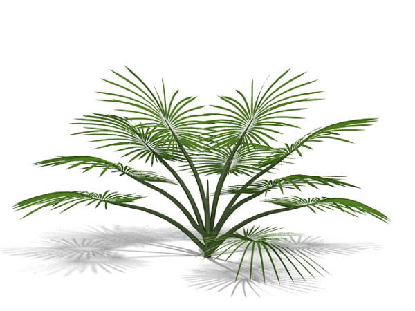 Decorative Palm Tree Free 3d Model - .Max - Open3dModel