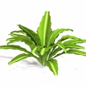 잡색의 세기 식물 3d 모델