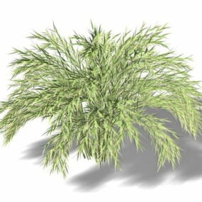 Phyllostachys 아시아 대나무 3d 모델