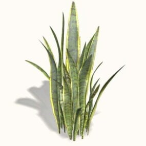 산세베리아 식물 3d 모델