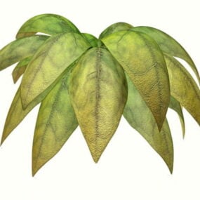 热带园林植物3d模型