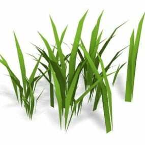 نموذج واقعي لنبات العشب الأصفر ثلاثي الأبعاد