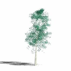 Modelo 3d de pequena árvore ornamental
